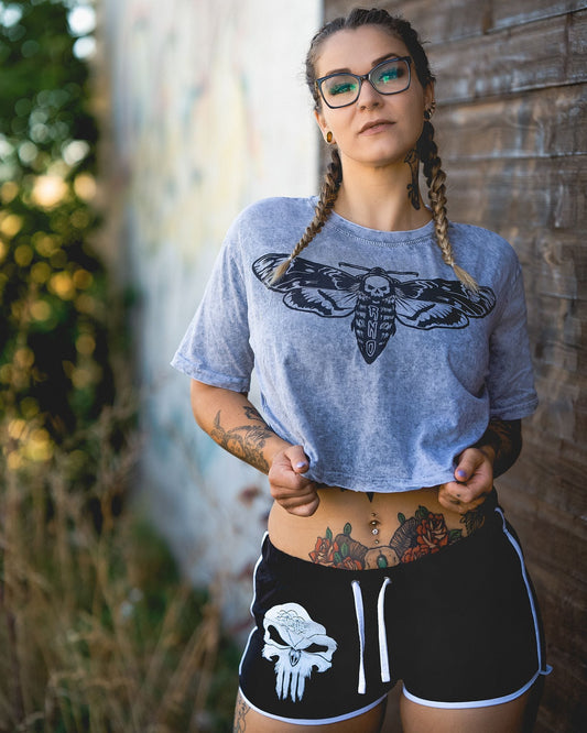 CROPSHIRT MOTH LANTERN GREY