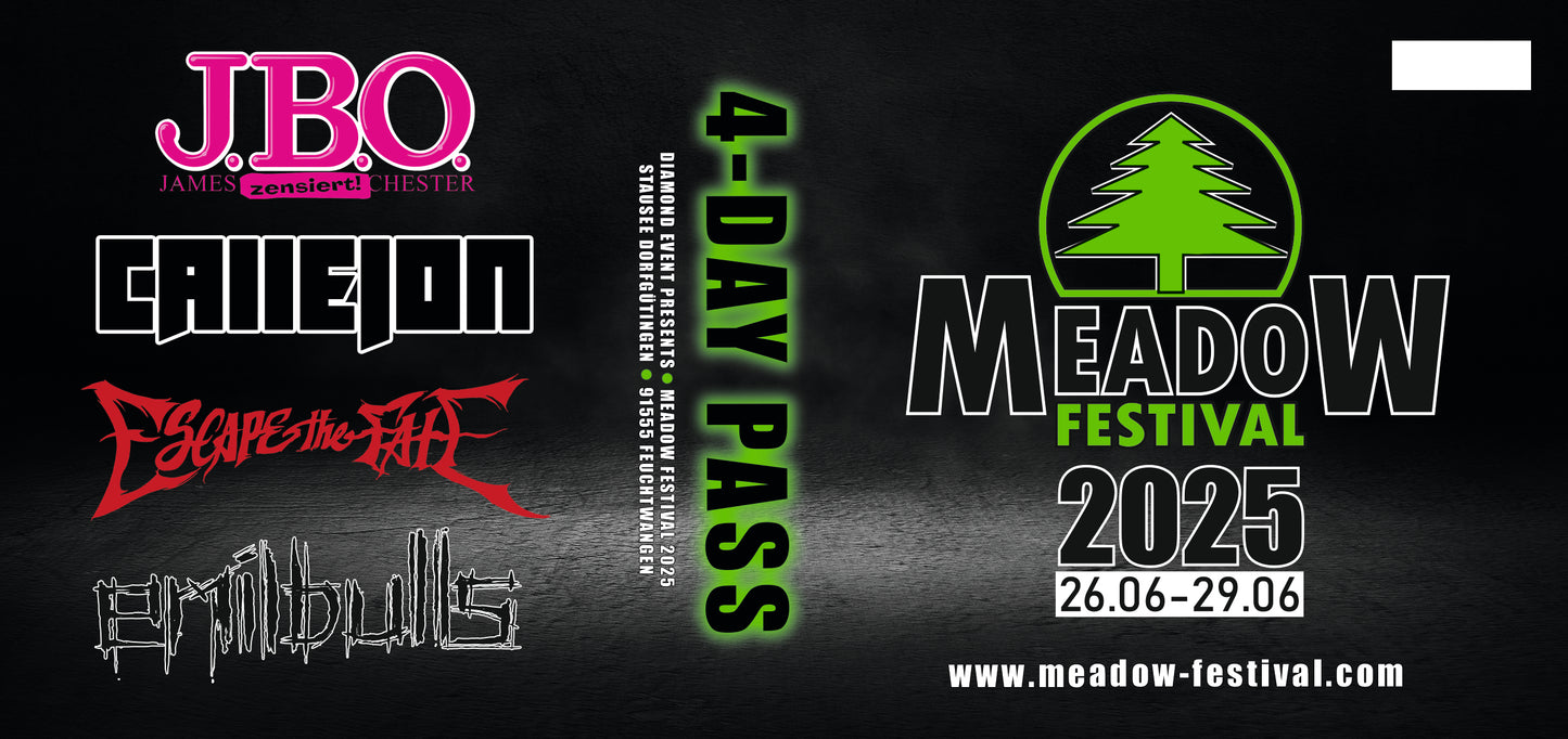 MEADOW FESTIVAL TICKET RNO T-SHIRT SPECIAL DEAL