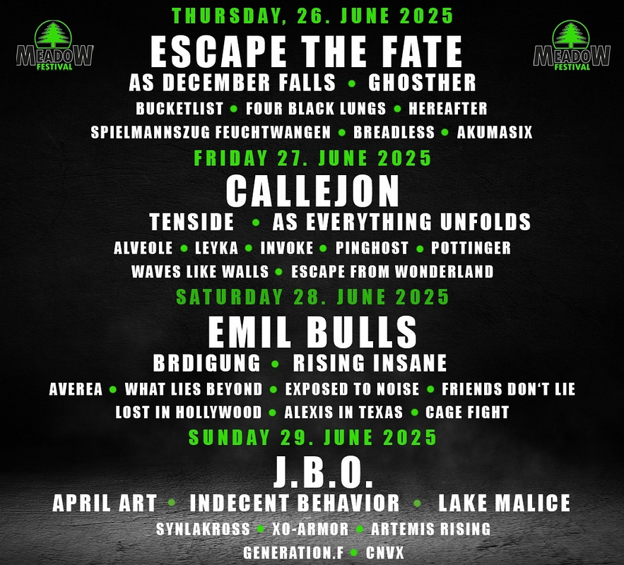 MEADOW FESTIVAL TICKET RNO T-SHIRT SPECIAL DEAL