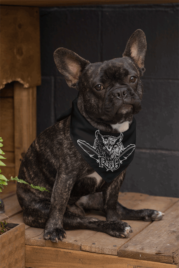 BANDANA TUCH BLACK UNI