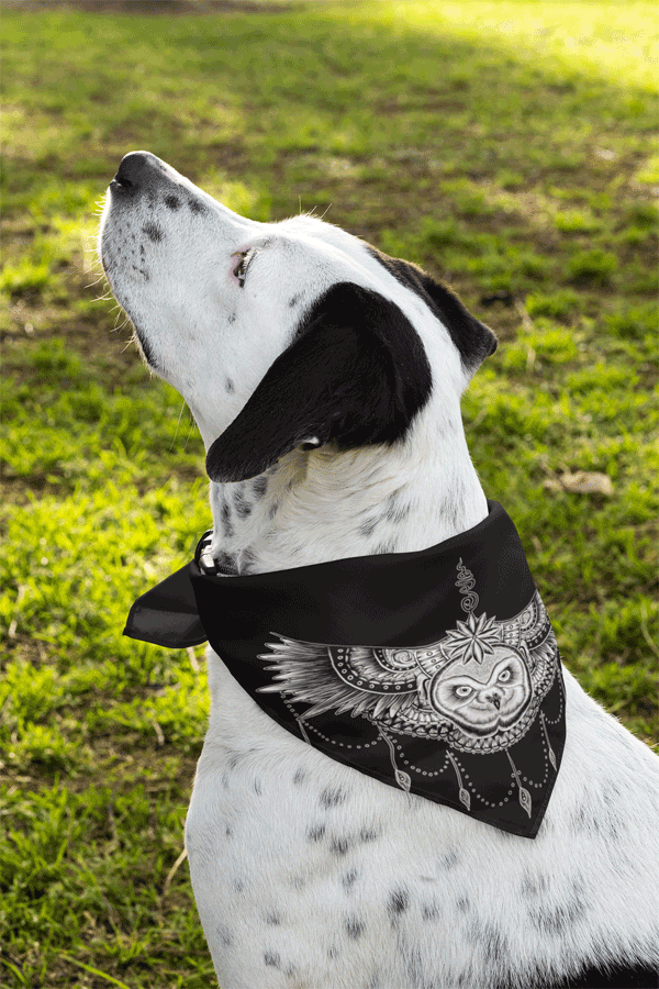 BANDANA TUCH BLACK UNI