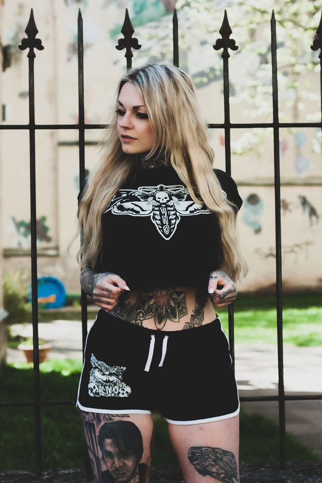 CROPSHIRT MOTH LANTERN BLACK