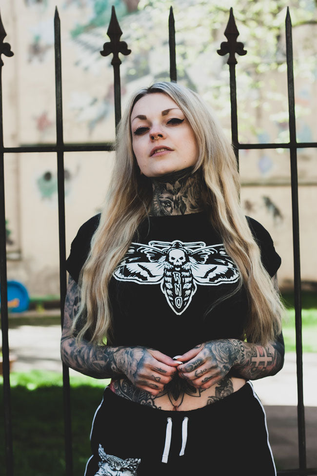 CROPSHIRT MOTH LANTERN BLACK