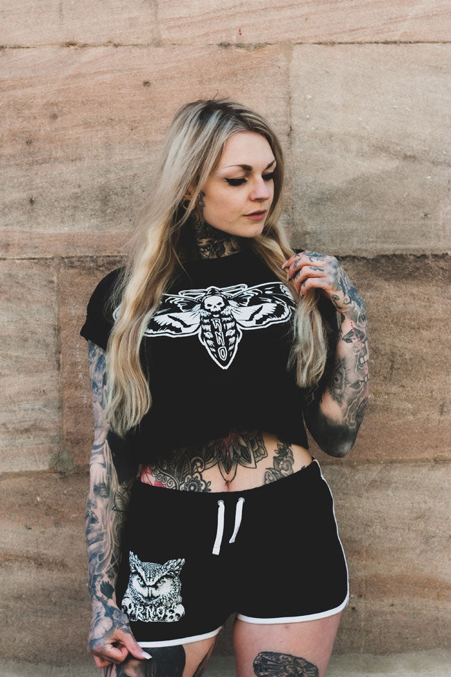 CROPSHIRT MOTH LANTERN BLACK