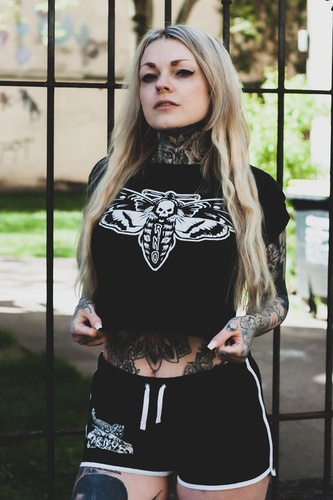 CROPSHIRT MOTH LANTERN BLACK